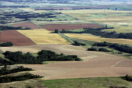 A preview of asset 57785