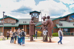 A preview of asset 66805