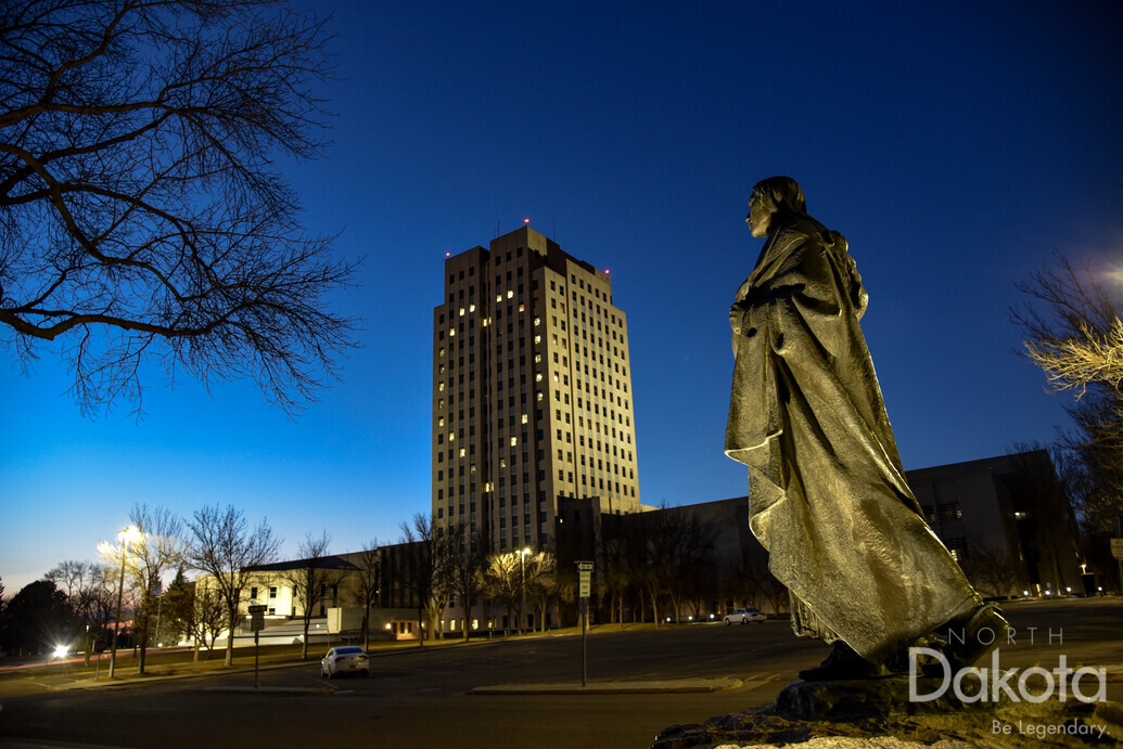 A preview of asset 78677