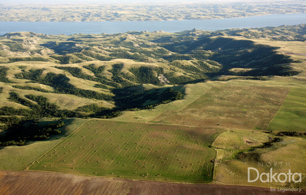 A preview of asset 57758