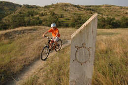 A preview of asset 58745