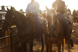 A preview of asset 57932