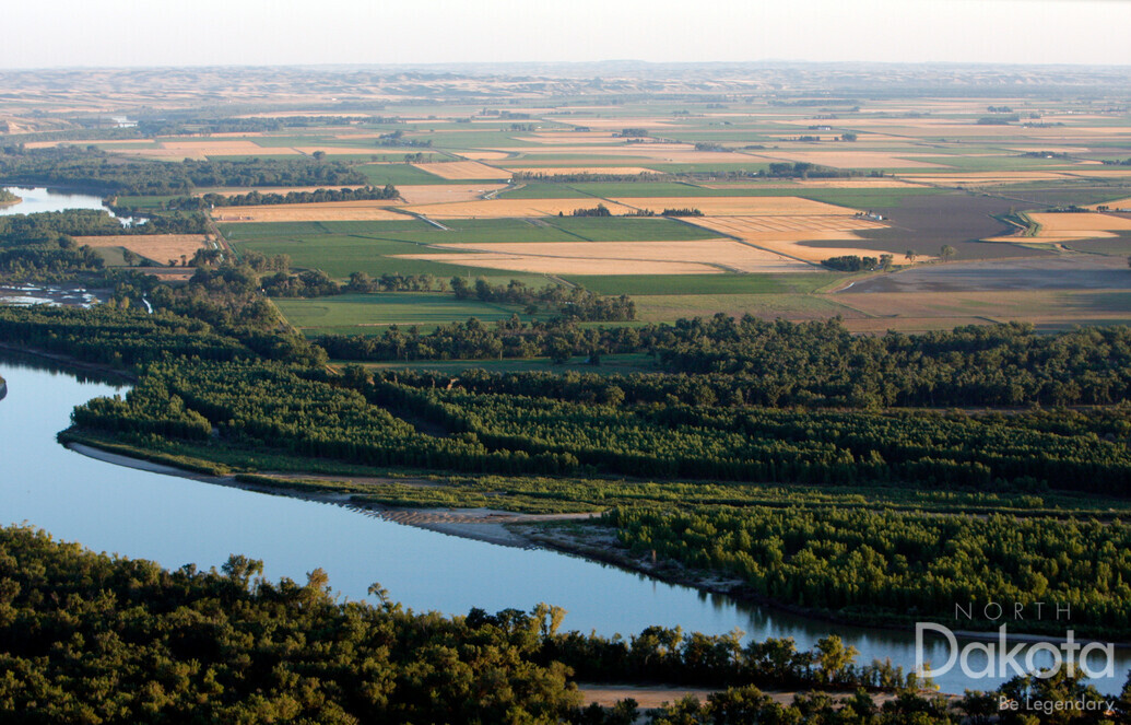 A preview of asset 57761