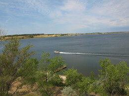 A preview of asset 69733