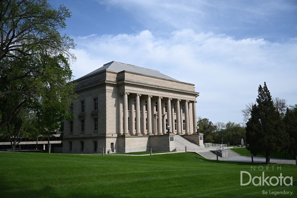 A preview of asset 76185