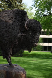 A preview of asset 76191