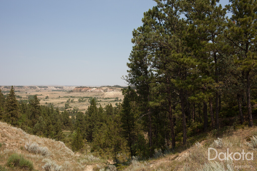 A preview of asset 58714