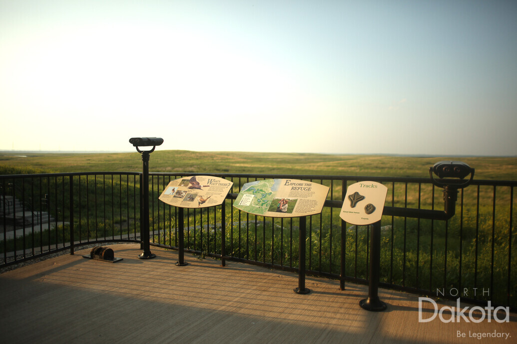 A preview of asset 57944