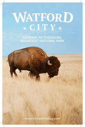 A preview of asset 79341