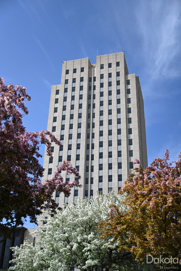 A preview of asset 76161