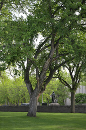 A preview of asset 76548