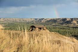 A preview of asset 74316