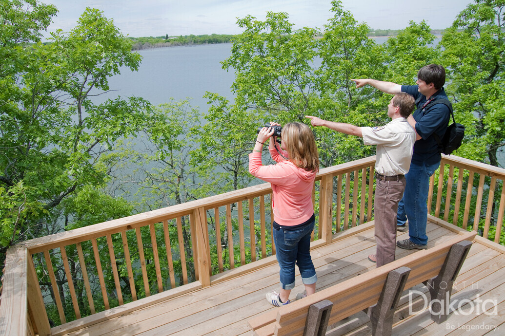 A preview of asset 69974