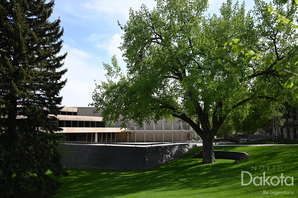 A preview of asset 76193