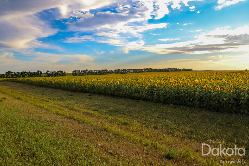 A preview of asset 83324