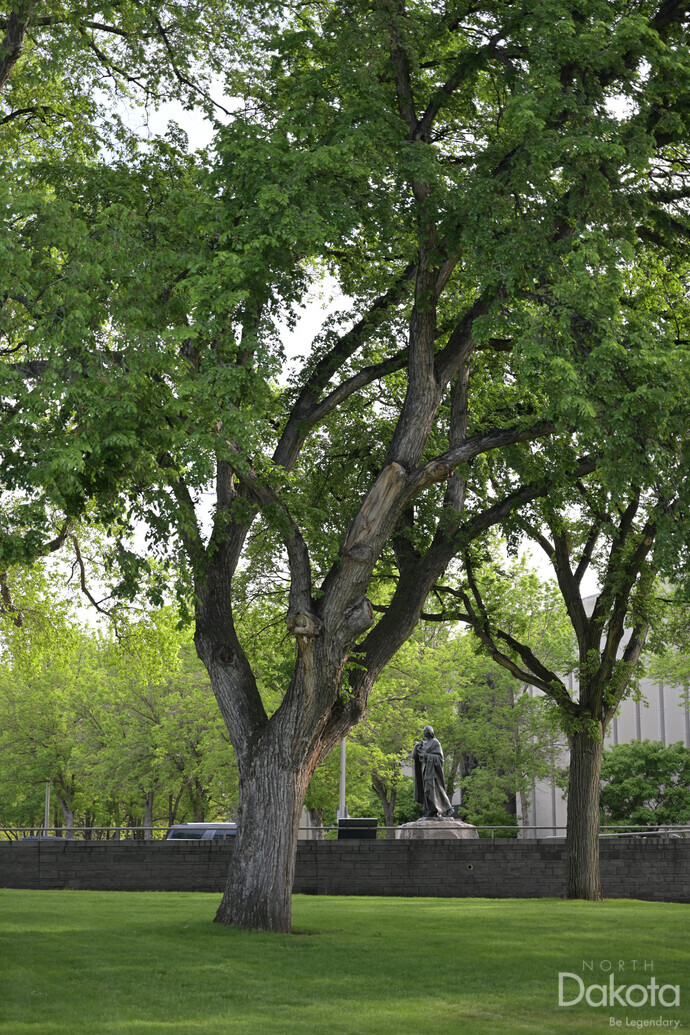 A preview of asset 76548