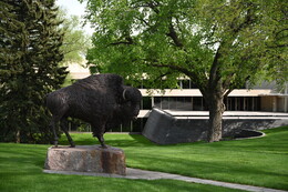 A preview of asset 76190