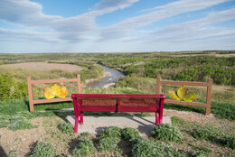 A preview of asset 49667