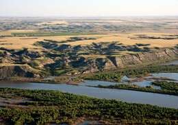 A preview of asset 57765